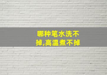 哪种笔水洗不掉,高温煮不掉