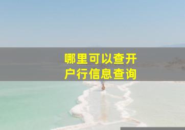 哪里可以查开户行信息查询