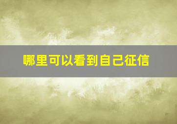 哪里可以看到自己征信