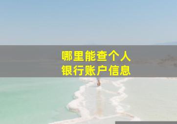 哪里能查个人银行账户信息