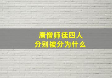 唐僧师徒四人分别被分为什么