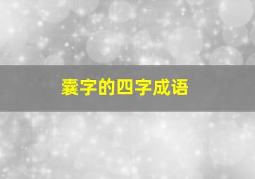 囊字的四字成语