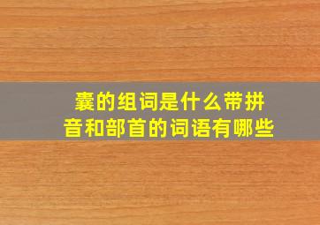 囊的组词是什么带拼音和部首的词语有哪些