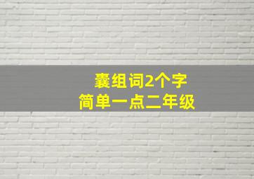 囊组词2个字简单一点二年级