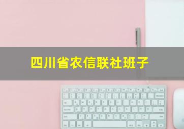 四川省农信联社班子