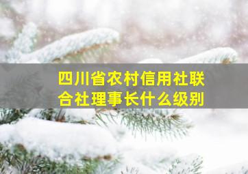 四川省农村信用社联合社理事长什么级别