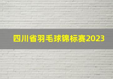 四川省羽毛球锦标赛2023