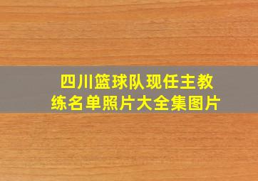 四川篮球队现任主教练名单照片大全集图片