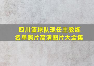 四川篮球队现任主教练名单照片高清图片大全集