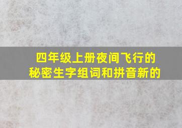 四年级上册夜间飞行的秘密生字组词和拼音新的