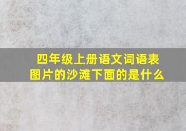 四年级上册语文词语表图片的沙滩下面的是什么