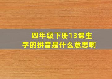 四年级下册13课生字的拼音是什么意思啊