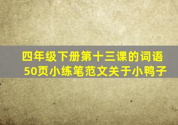 四年级下册第十三课的词语50页小练笔范文关于小鸭子