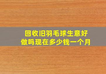 回收旧羽毛球生意好做吗现在多少钱一个月