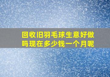 回收旧羽毛球生意好做吗现在多少钱一个月呢