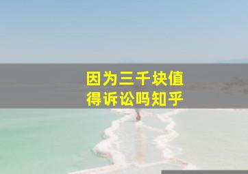 因为三千块值得诉讼吗知乎