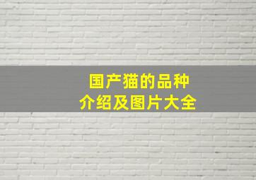 国产猫的品种介绍及图片大全