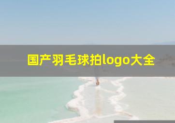 国产羽毛球拍logo大全