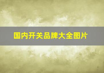 国内开关品牌大全图片