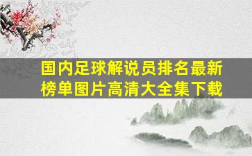 国内足球解说员排名最新榜单图片高清大全集下载