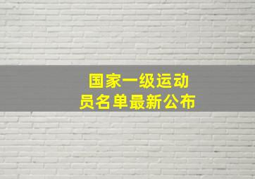 国家一级运动员名单最新公布