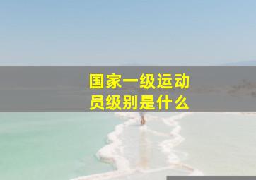 国家一级运动员级别是什么