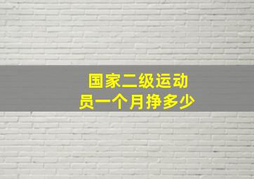 国家二级运动员一个月挣多少