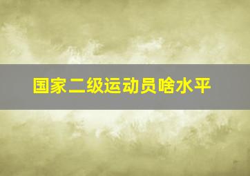 国家二级运动员啥水平