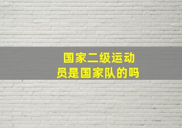 国家二级运动员是国家队的吗