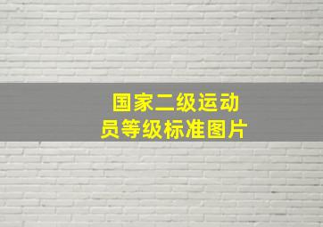 国家二级运动员等级标准图片