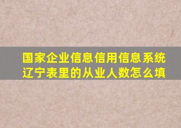 国家企业信息信用信息系统辽宁表里的从业人数怎么填