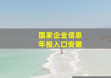 国家企业信息年报入口安徽