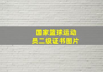 国家篮球运动员二级证书图片