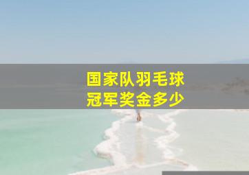 国家队羽毛球冠军奖金多少