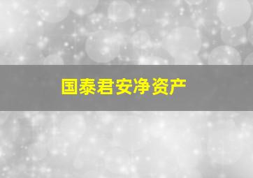 国泰君安净资产