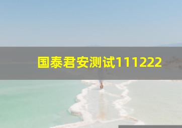 国泰君安测试111222