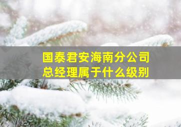 国泰君安海南分公司总经理属于什么级别