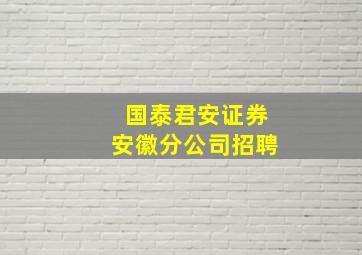 国泰君安证券安徽分公司招聘