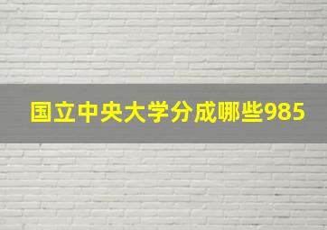 国立中央大学分成哪些985