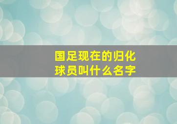 国足现在的归化球员叫什么名字