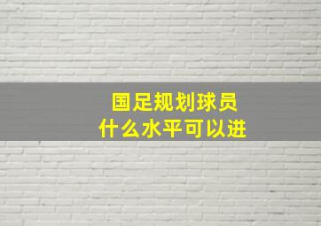 国足规划球员什么水平可以进