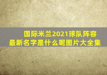 国际米兰2021球队阵容最新名字是什么呢图片大全集