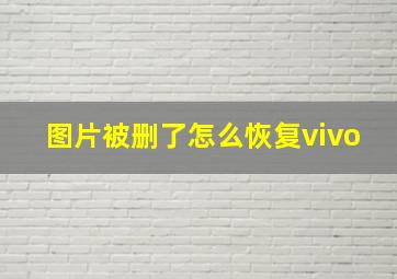 图片被删了怎么恢复vivo