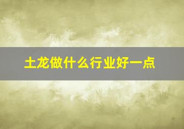 土龙做什么行业好一点