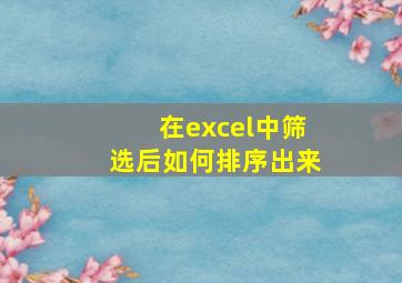 在excel中筛选后如何排序出来