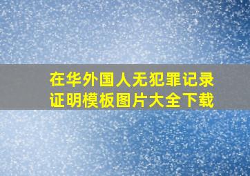 在华外国人无犯罪记录证明模板图片大全下载