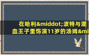 在哈利·波特与混血王子里饰演11岁的汤姆·里德尔