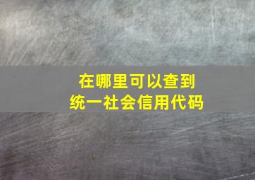 在哪里可以查到统一社会信用代码