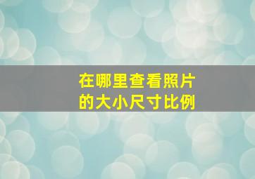 在哪里查看照片的大小尺寸比例