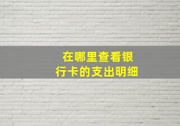 在哪里查看银行卡的支出明细